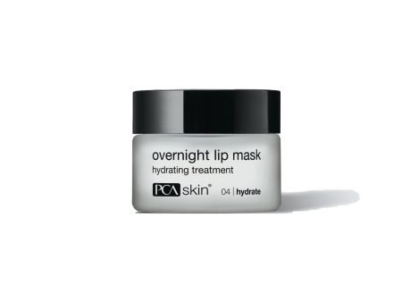 PCA OVERNIGHT LIP MASK Fashion